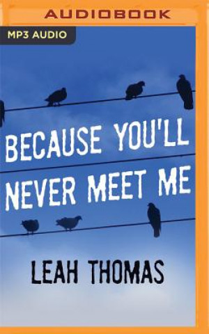 Hanganyagok BECAUSE YOULL NEVER MEET ME  M Leah Thomas