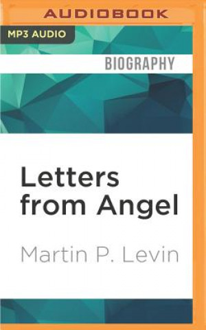 Digital LETTERS FROM ANGEL           M Martin P. Levin