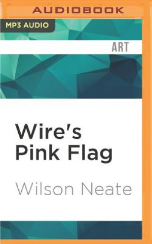 Digital Wire's Pink Flag Wilson Neate