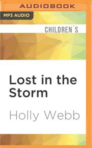 Digital LOST IN THE STORM            M Holly Webb