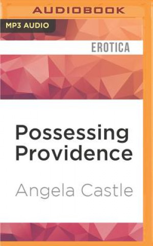 Digital POSSESSING PROVIDENCE        M Angela Castle