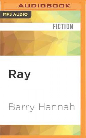 Digital Ray Barry Hannah