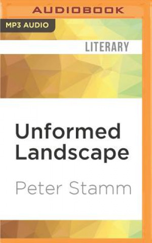 Digital UNFORMED LANDSCAPE           M Peter Stamm