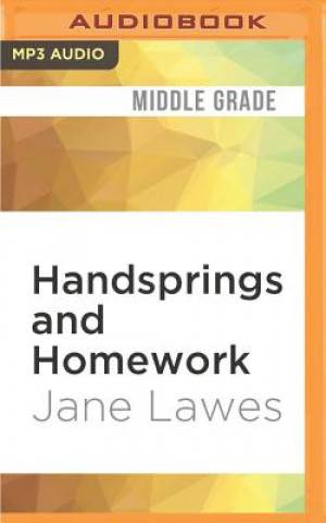 Digital Handsprings and Homework Jane Lawes