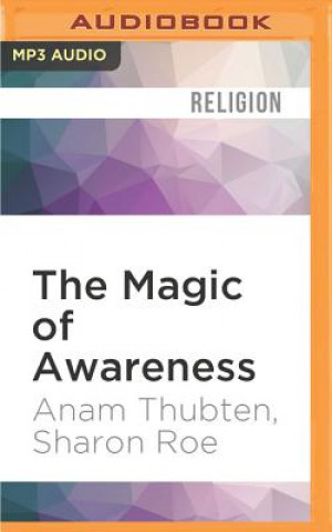 Digital MAGIC OF AWARENESS           M Anam Thubten