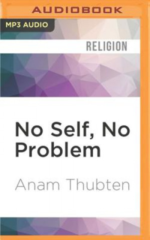 Digital No Self, No Problem: Awakening to Our True Nature Anam Thubten