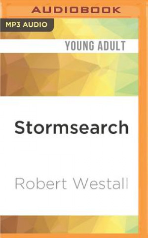 Digital Stormsearch Robert Westall