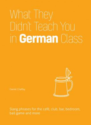 Kniha What They Didn't Teach You In German Class Daniel Chaffey