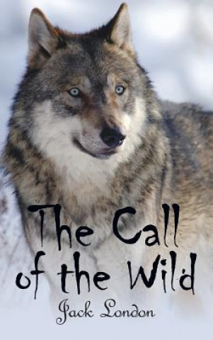 Kniha Call of the Wild Jack London