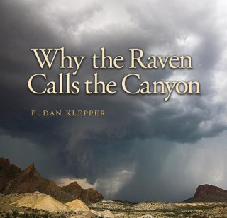 Könyv Why the Raven Calls the Canyon E. Dan Klepper