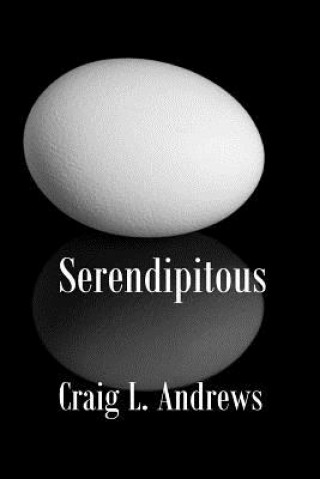 Książka SERENDIPITOUS Craig L. Andrews