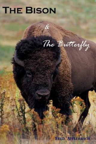 Carte BISON & THE BUTTERFLY Fred Afflerbach