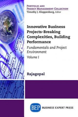 Knjiga Innovative Business Projects Rajagopal (Egade Business School Tecnologico de Monterrey Mexico)