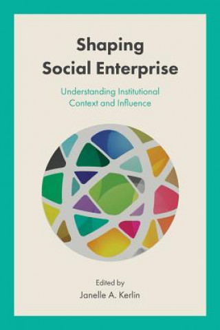 Könyv Shaping Social Enterprise Janelle Kerlin