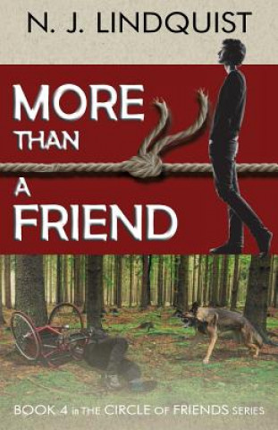 Kniha More Than a Friend N. J. Lindquist