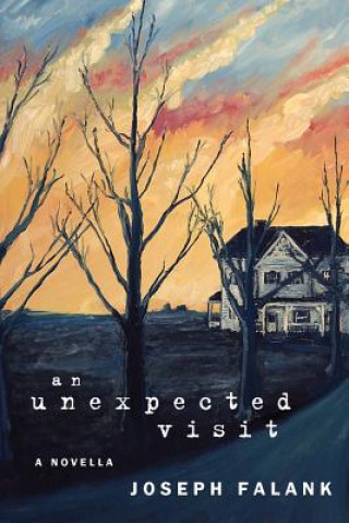Kniha Unexpected Visit Joseph Falank