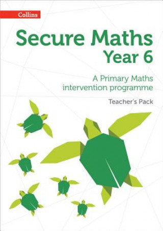 Kniha Secure Year 6 Maths Teacher's Pack Bobbie Johns