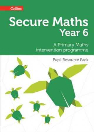 Kniha Secure Year 6 Maths Pupil Resource Pack Bobbie Johns