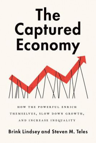 Book Captured Economy Brink Lindsey