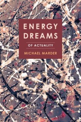 Kniha Energy Dreams Michael Marder