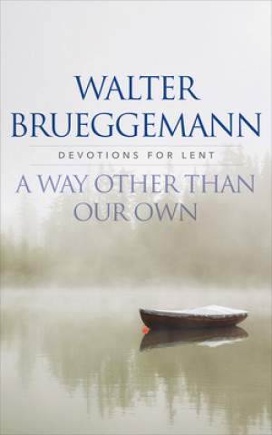 Buch Way other than Our Own Walter Brueggemann