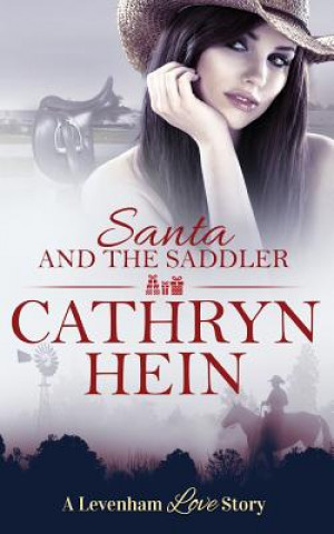 Buch Santa and the Saddler CATHRYN HEIN