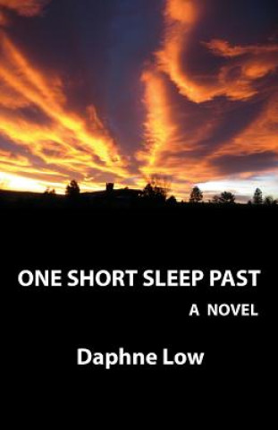 Buch One Short Sleep Past DAPHNE LOW