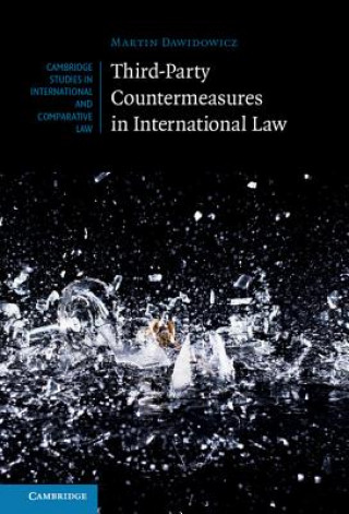 Kniha Third-Party Countermeasures in International Law DAWIDOWICZ  MARTIN