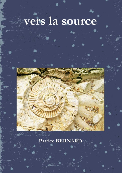 Knjiga Vers La Source Patrice BERNARD