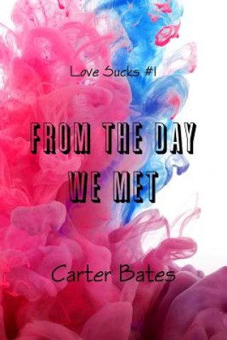 Kniha From the Day We Met (Love Sucks #1) Carter Bates