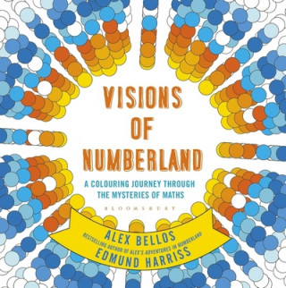 Kniha Visions of Numberland Alex Bellos