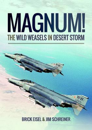 Könyv Magnum! The Wild Weasels in Desert Storm BRAXTON R EISEL
