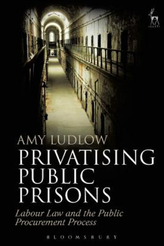 Książka Privatising Public Prisons Amy Ludlow