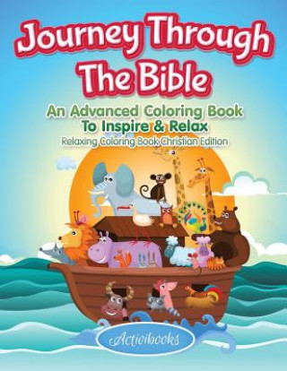 Carte Journey Through The Bible ACTIVIBOOKS