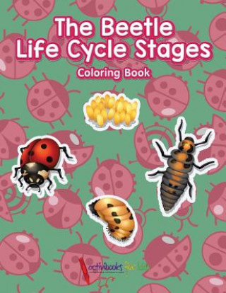 Carte Beetle Life Cycle Stages Coloring Book ACTIVIBOOK FOR KIDS