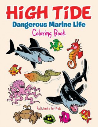 Carte High Tide ACTIVIBOOK FOR KIDS