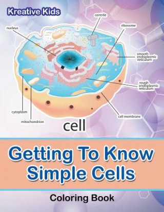 Kniha Getting to Know Simple Cells Coloring Book KREATIVE KIDS
