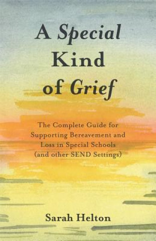 Kniha Special Kind of Grief HELTON  SARAH