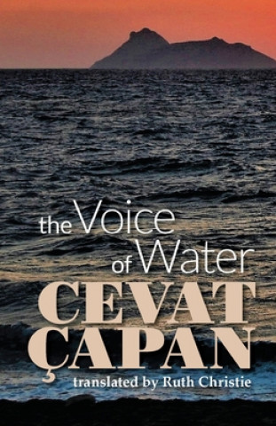 Book Voice of Water Cevat Capan