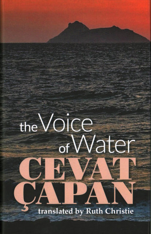 Kniha Voice of Water CEVAT CEPAN