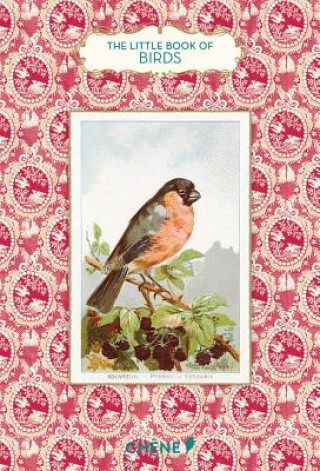 Kniha Little Book of Birds Anne Jankeliowitch