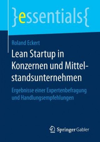 Buch Lean Startup in Konzernen und Mittelstandsunternehmen Roland Eckert