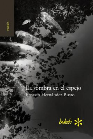 Livre sombra en el espejo. Versiones japonesas ERN HERN NDEZ BUSTO