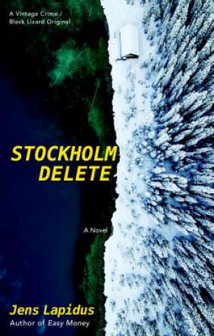 Kniha Stockholm Delete Jens Lapidus