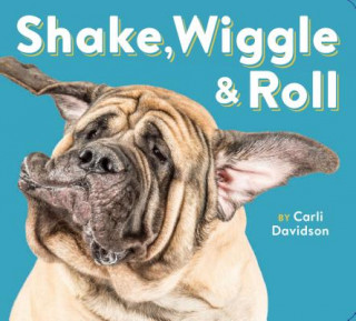 Kniha Shake, Wiggle & Roll Carli Davidson