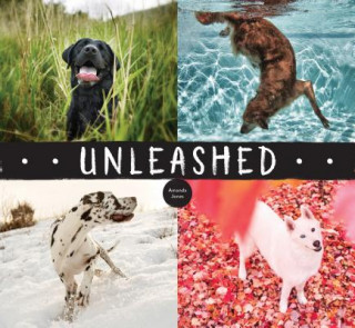 Knjiga Unleashed Amanda Jones