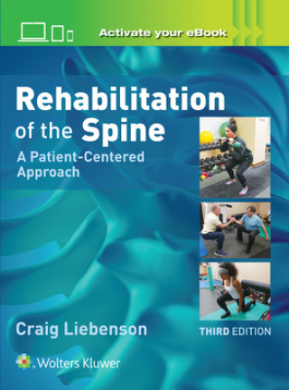 Knjiga Rehabilitation of the Spine: A Patient-Centered Approach Brian Brown