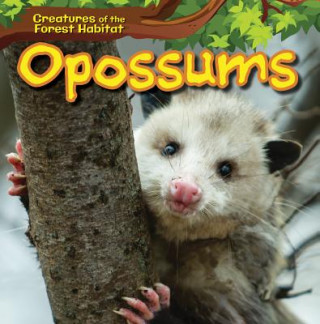 Knjiga Opossums Ada Quinlivan