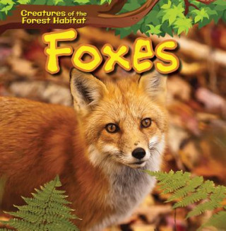Knjiga Foxes David Lee