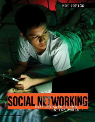 Book Social Networking Jennifer Lombardo